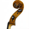 FS500A Franz Sandner Professional Cello with Bag