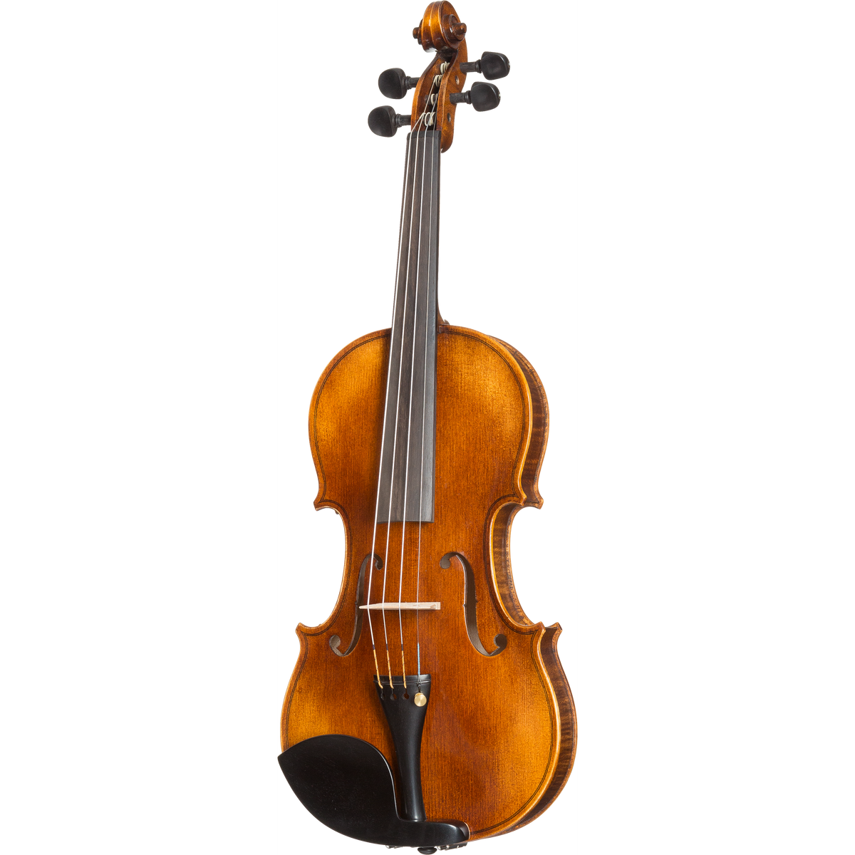 FS702 Franz Sandner Advanced Violin with Case