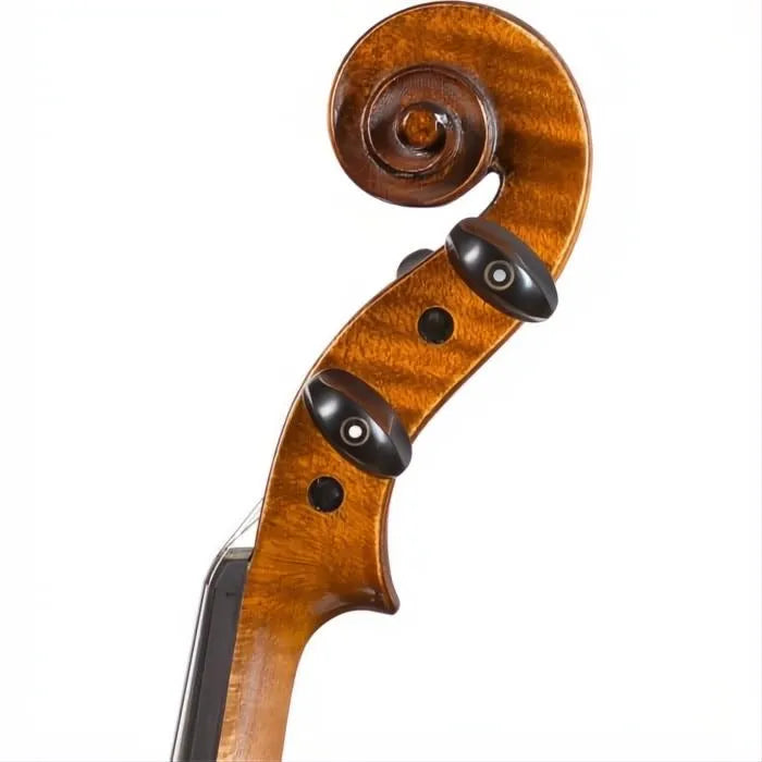 FS702 Franz Sandner Advanced Violin with Case