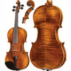 FS702 Franz Sandner Advanced Violin with Case