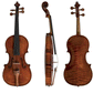 GEWA Soloist Master, Professional Violin with Case String Power - Violin Shop