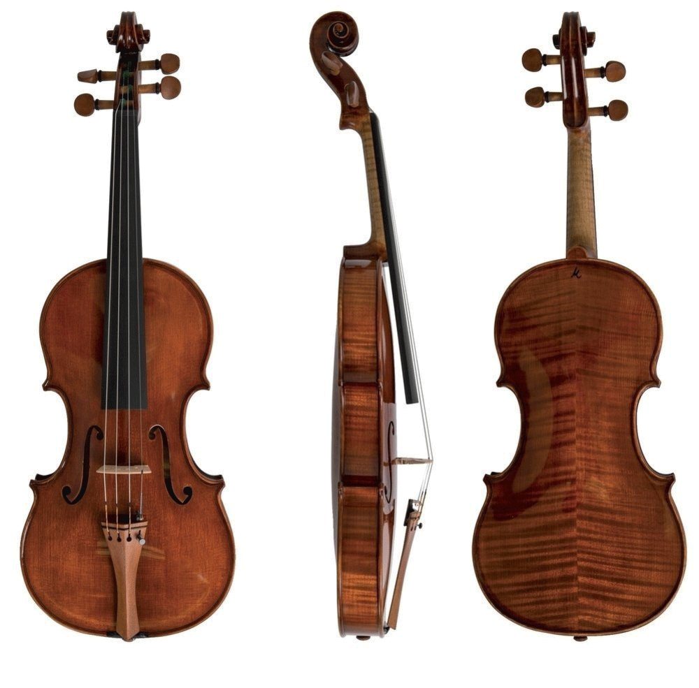 GEWA Soloist Master, Professional Violin with Case String Power - Violin Shop