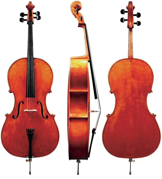 Montaganana Gewa Professinoal Cello with Bag