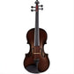 Glasser Carbon Composite Acoustic Viola