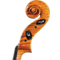 Gofriller Core Select Advanced Cello with Bag-Cello-String Power