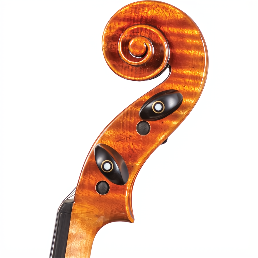 Goldman Core Select Advanced Violin with Case