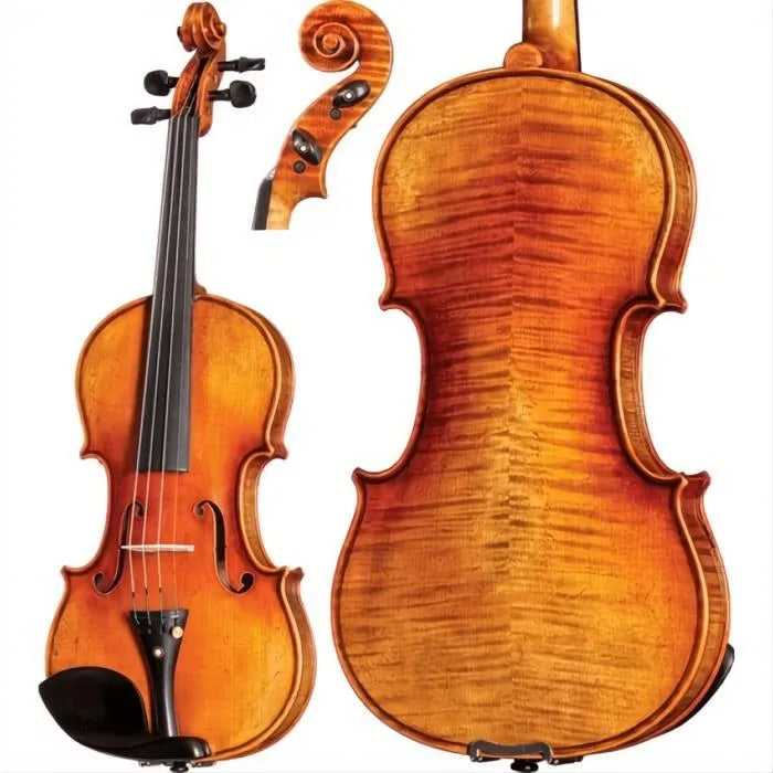 Goldman Core Select Advanced Violin with Case