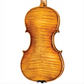 HOF-225 Hofner Professsional Violin with Case-Violin-String Power