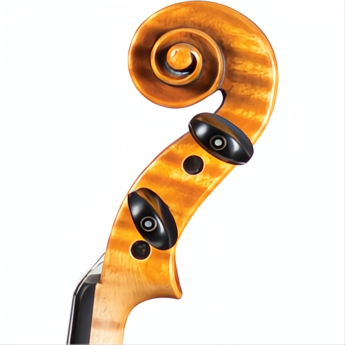 HOF-225 Hofner Professsional Violin with Case-Violin-String Power