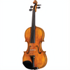 HOF-225 Hofner Professsional Violin with Case-Violin-String Power