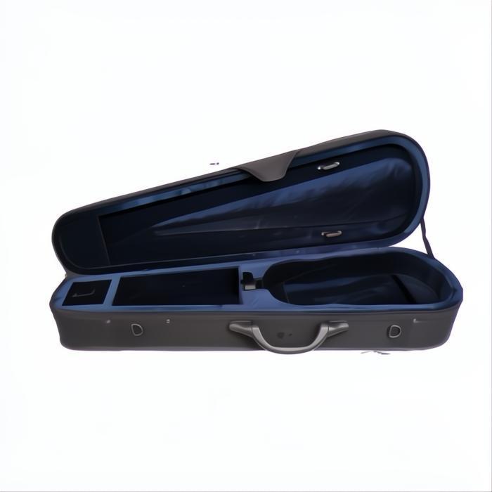 108 Juzek Intermediate Violin 5-Strings Outfit with Bow and Case