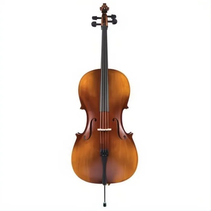 J350 Juzek Beginner Cello Outfit with Bow and Bag
