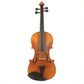 JJ101 Juzek Intermediate Violin Outfit with Bow and Case