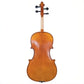 JJ202 Juzek Beginner Viola Outfit with Bow and Case