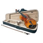 JJ202 Juzek Beginner Viola Outfit with Bow and Case