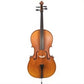 JJ300 Juzek Intermediate Cello Outfit with Bow and Bag