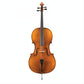 335 Juzek Strad Professional Cello Outfit with Bag
