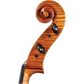 Maggini Core Select Advanced Cello with Bag-Cellos-String Power