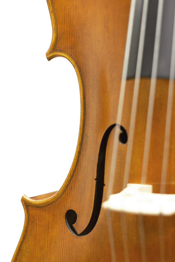 Master Lucienne Maple Leaf Strings Professional Cello with Bag String Power - Violin Store