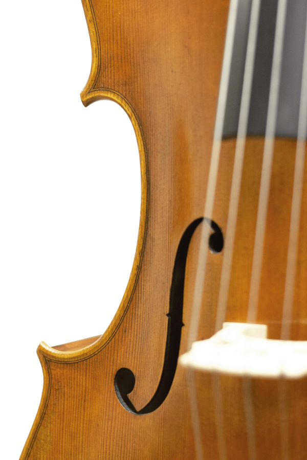 Master Lucienne Maple Leaf Strings Professional Cello
