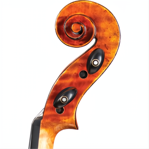 SM10 Symphony Core Advanced Violin with Case