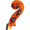 SM10 Symphony Core Advanced Violin with Case