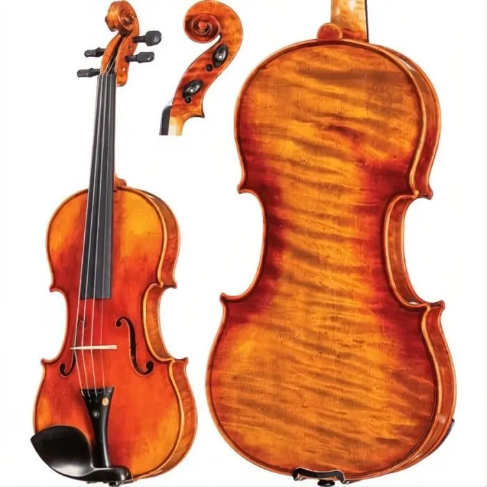 SM10 Symphony Core Advanced Violin with Case