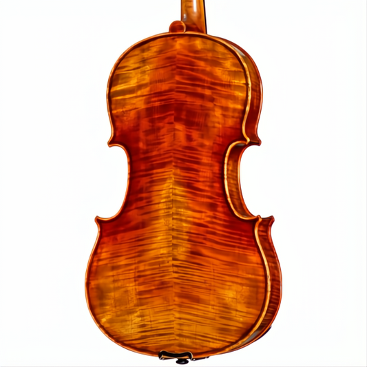 SM20 Symphony Core Advanced Viola with Case