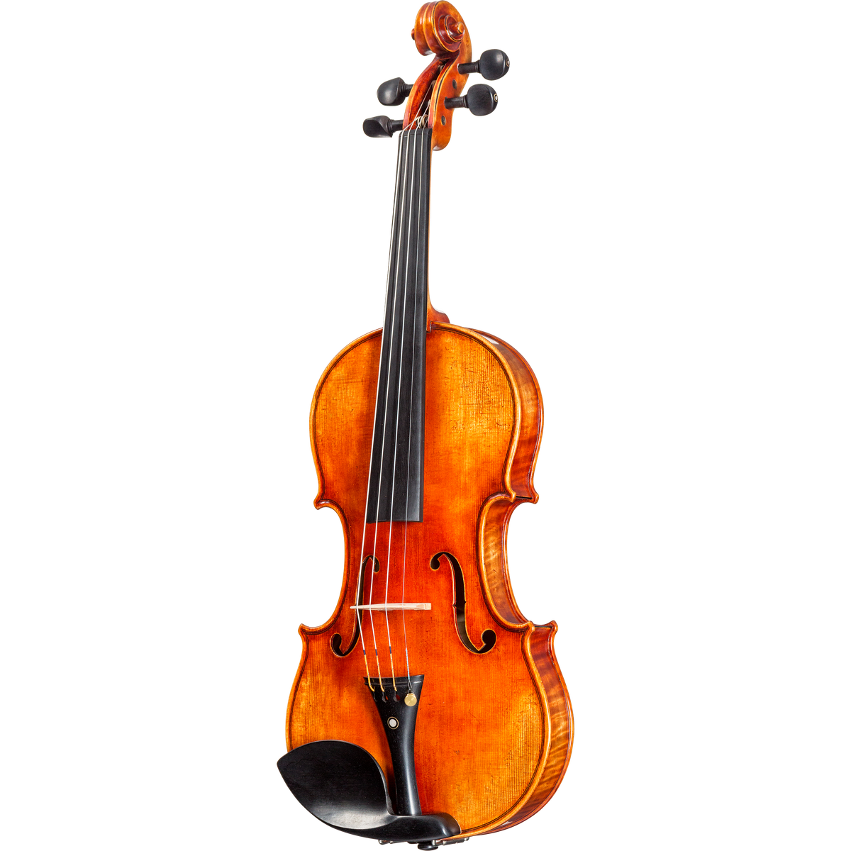 Soil Core Select Advanced Violin with Case