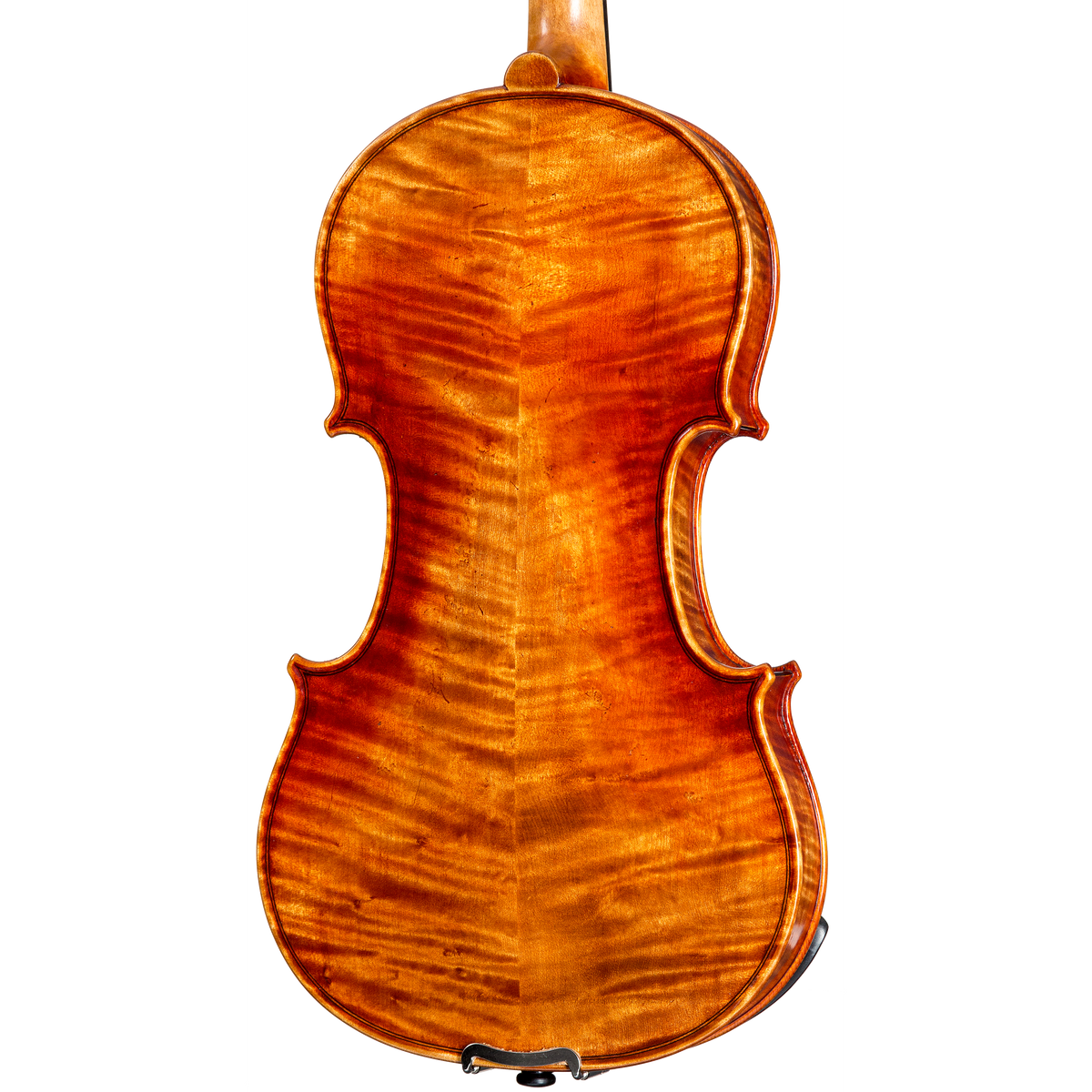 Soil Core Select Advanced Violin with Case
