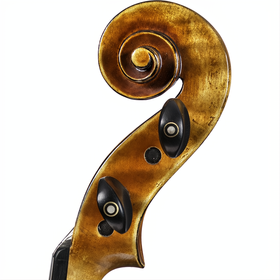 Soil Core Select Advanced Violin with Case