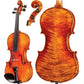Soil Core Select Advanced Violin with Case