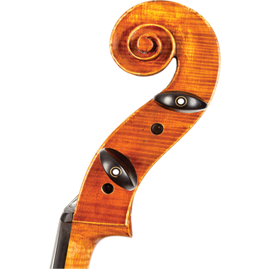 Stainer Core Select Advanced Cello with Bag-Cello-String Power