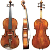 Thomas Boehme Gewa Professional Viola with Case String Power - Violin Shop