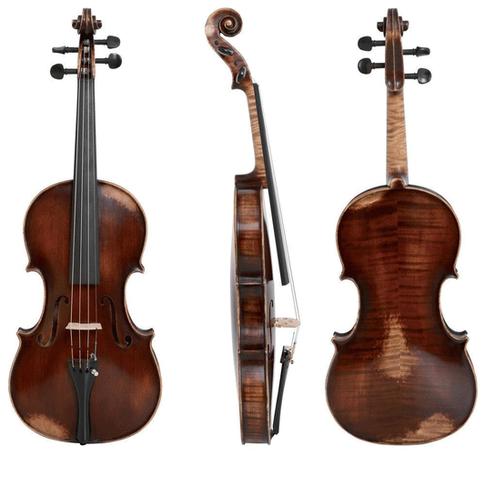 Walther 11 Gewa Advanced Violin with Case String Power - Violin Shop