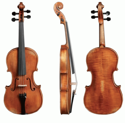 Walther 11 Gewa Advanced Violin with Case String Power - Violin Shop