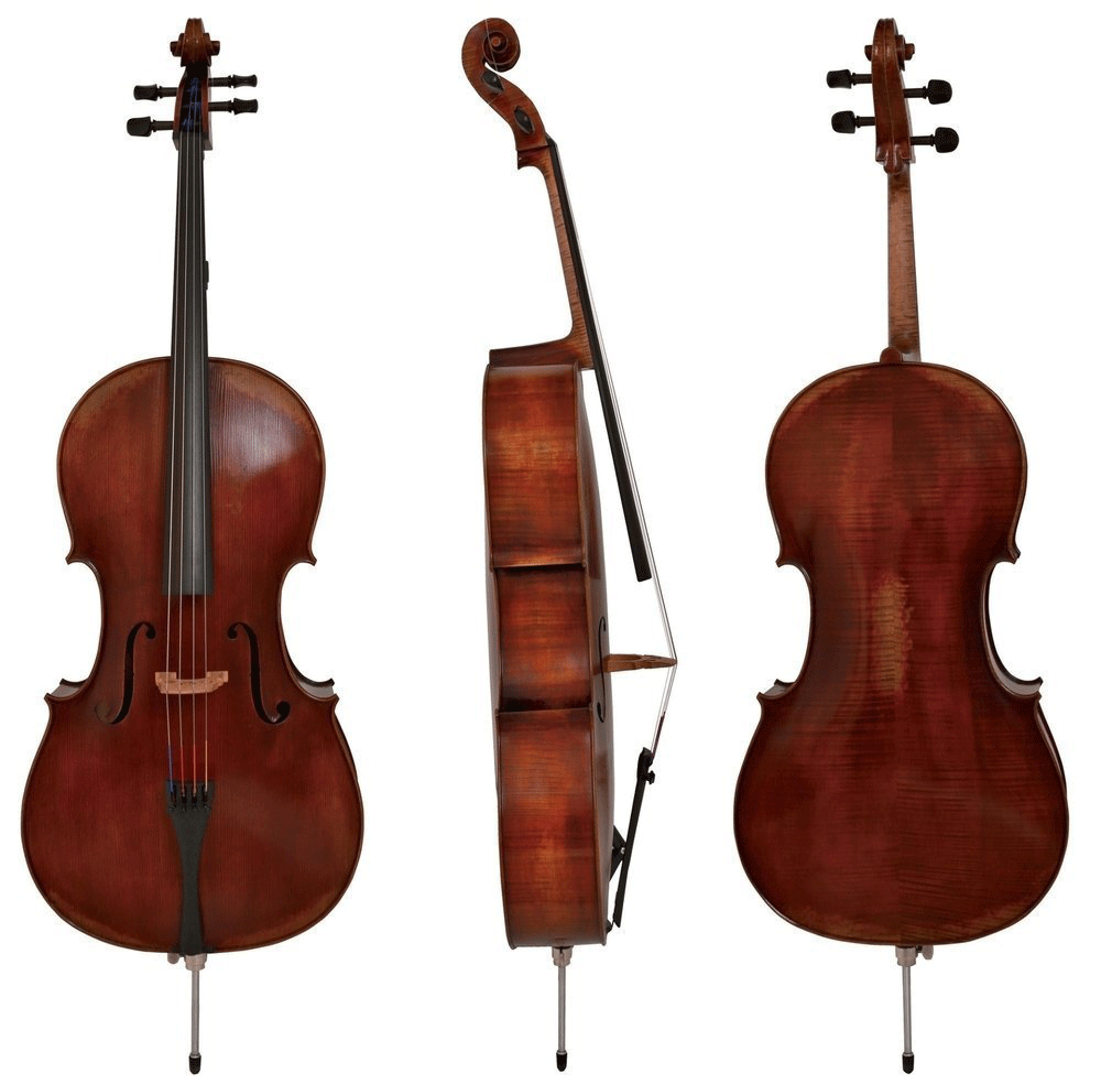 Walther 11 Gewa Professional Cello with Bag String Power - Violin Shop