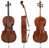 Walther 11 Gewa Professional Cello with Bag String Power - Violin Shop