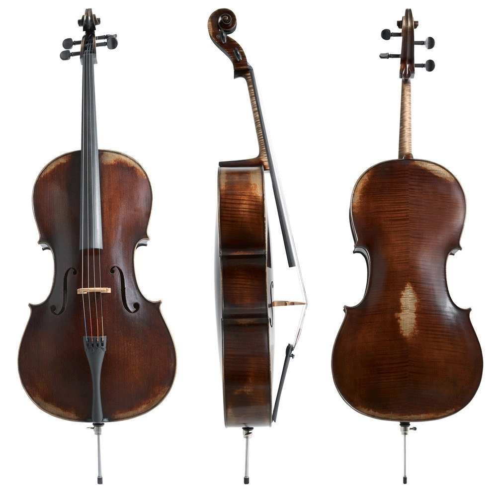 Walther 11 Gewa Professional Cello with Bag String Power - Violin Shop