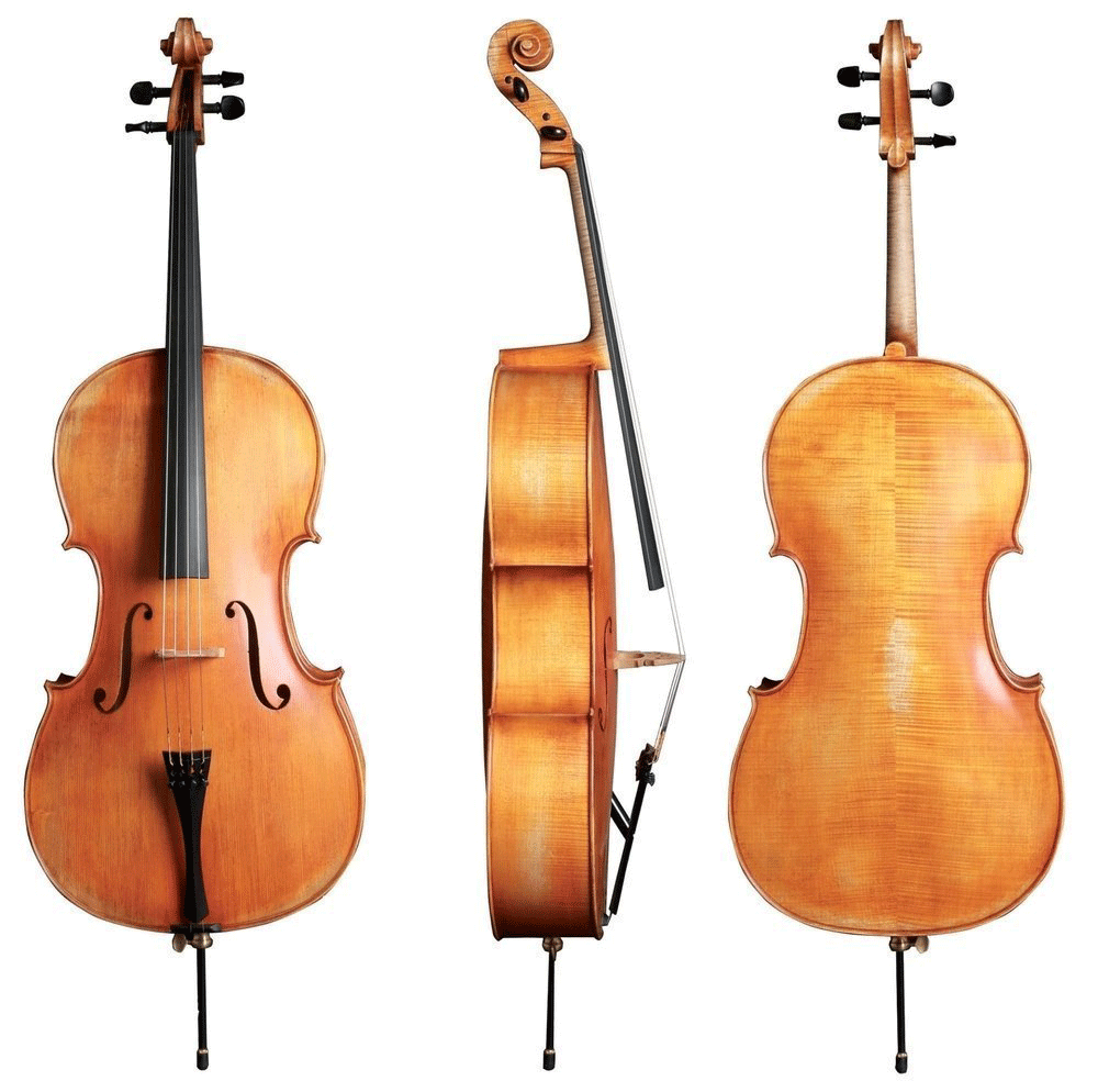 Walther 11 Gewa Professional Cello with Bag String Power - Violin Shop