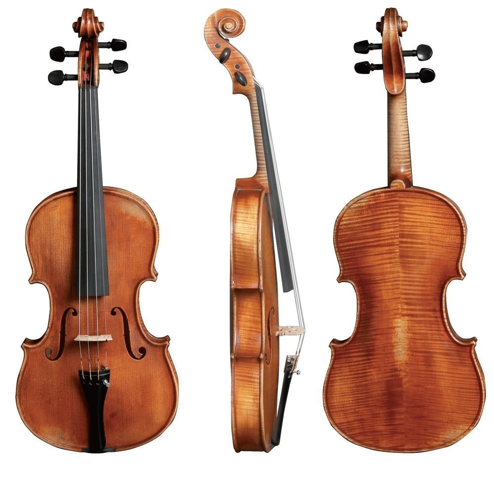 Walther 11 Gewa Professional Viola with Case String Power - Violin Shop