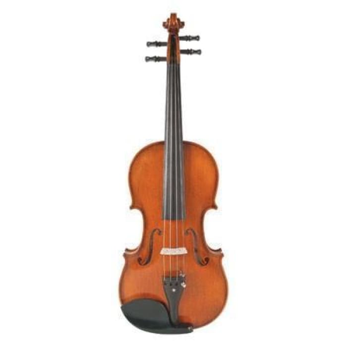 135 Juzek Professional Violin with Case String Power