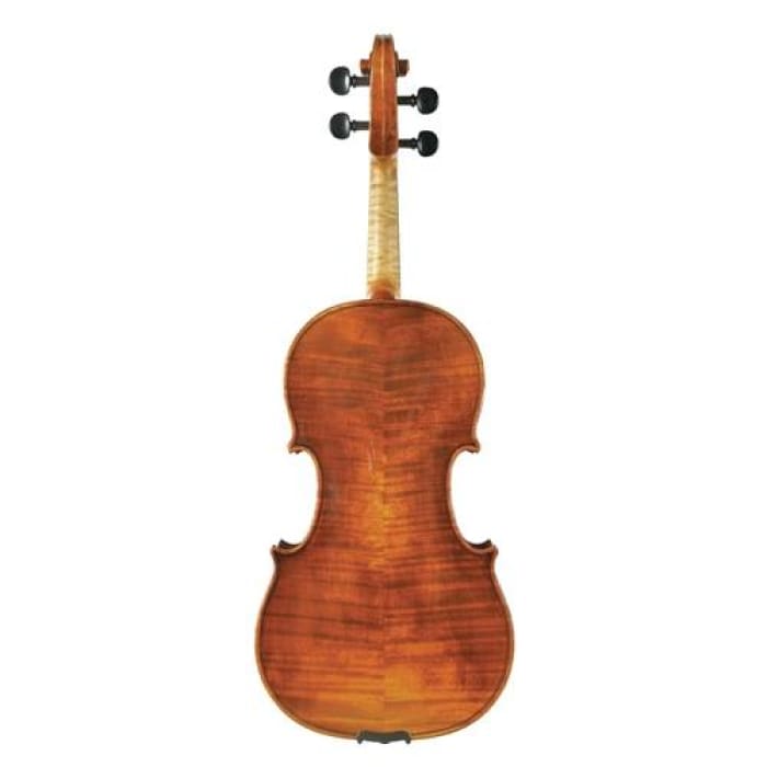 170 Juzek Professional Violin with Case String Power