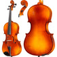 A25 Core Academy Intermediate Viola Outfit with Bow and Case String Power