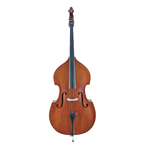 Basic Line Gewa, Beginner Bass Outfit with Bow and Bag String Power - Violin Shop