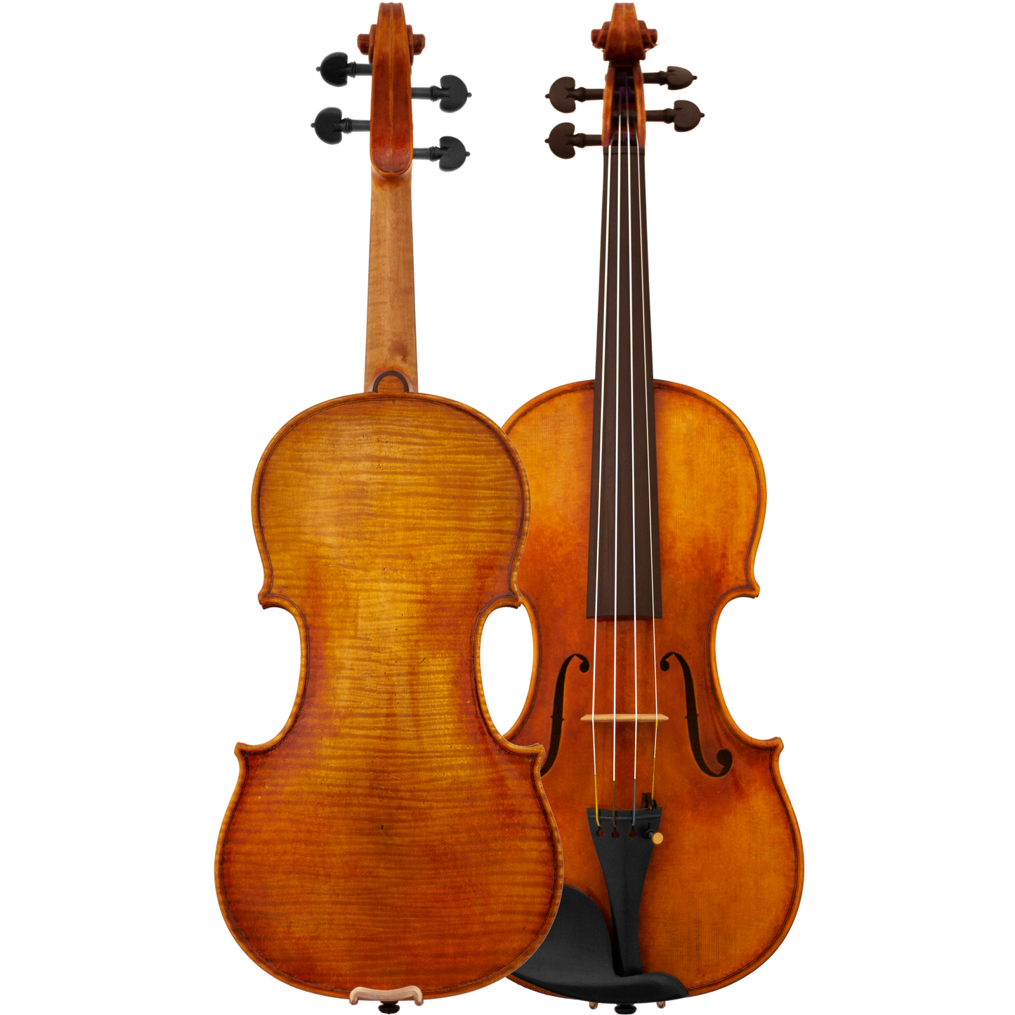 Bench Copy "Duke of Cambridge" Maple Leaf Strings Professional Violin with Case String Power - Violin Shop