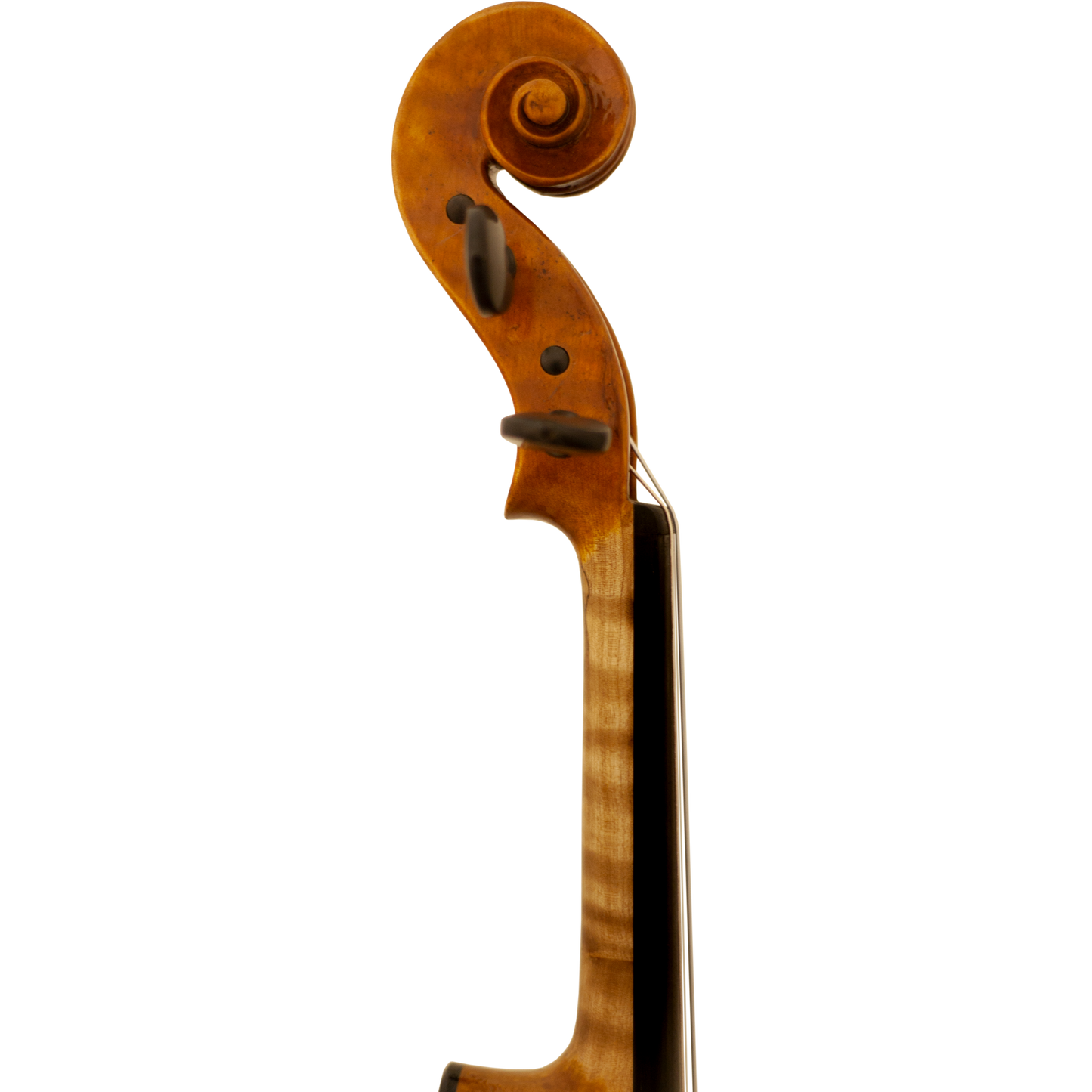 Bench Copy "Giuseppe" Maple Leaf Strings Professional Violin with Case String Power - Violin Shop