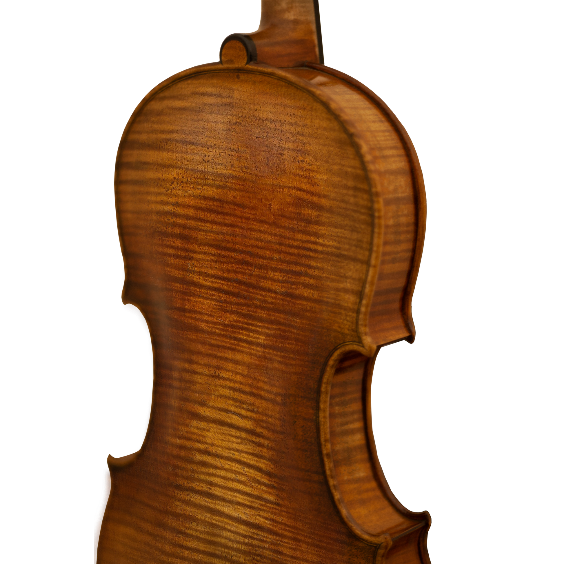 Bench Copy "Haddock" Maple Leaf Strings Professional Violin with Case String Power - Violin Shop