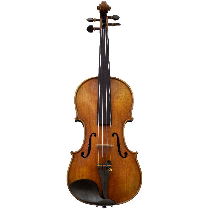 Burled Maple Maple Leaf Strings Advanced Violin with Case String Power - Violin Shop
