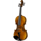 C10 Core Conservatory  Intermediate Violin with Case String Power 